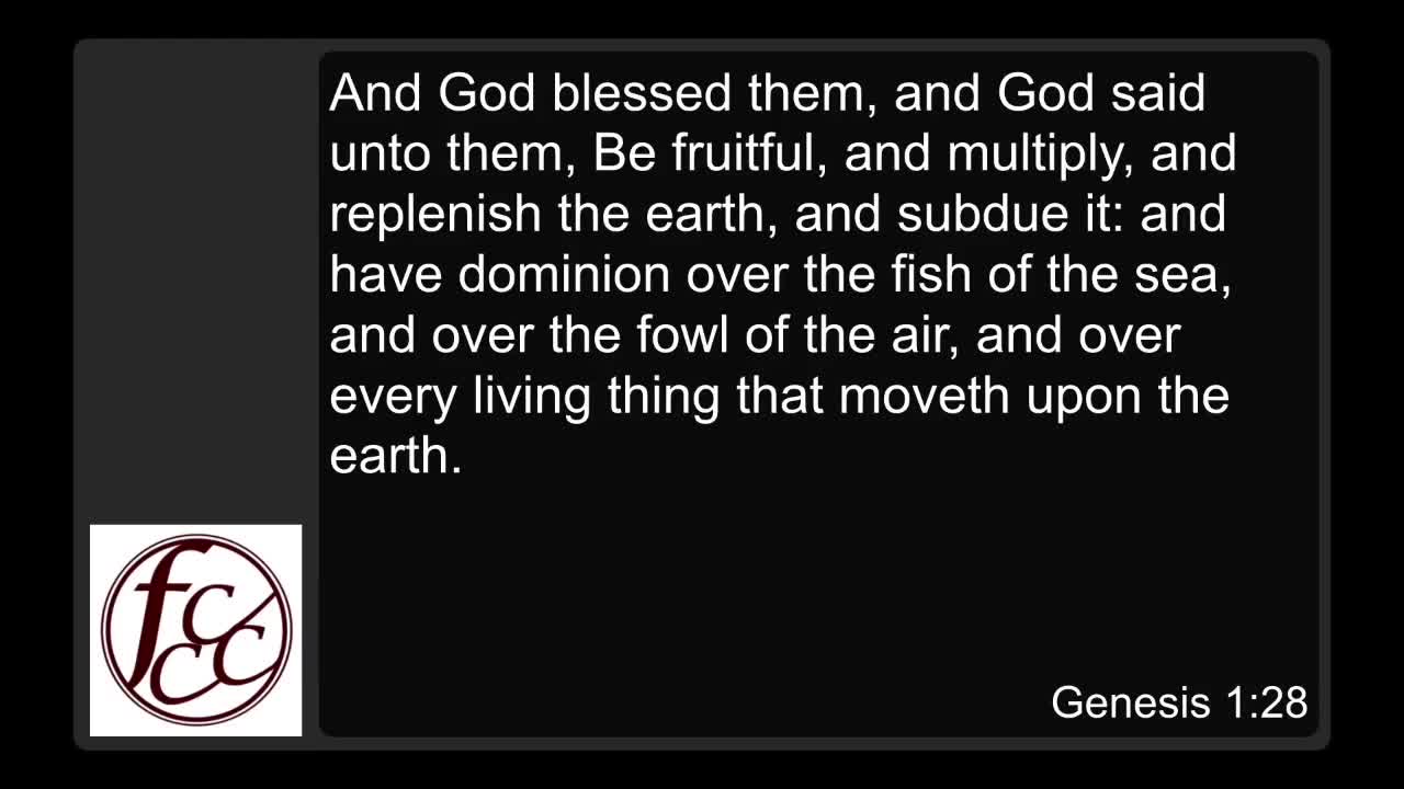 Release the Blessing (Part 1)